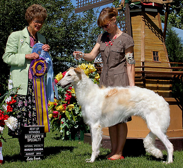 Borzoi Canada 2012 National Best of Winners and Best Puppy